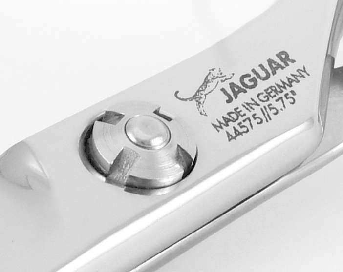 Jaguar Scissors: The German Precision Behind Every Perfect Cut