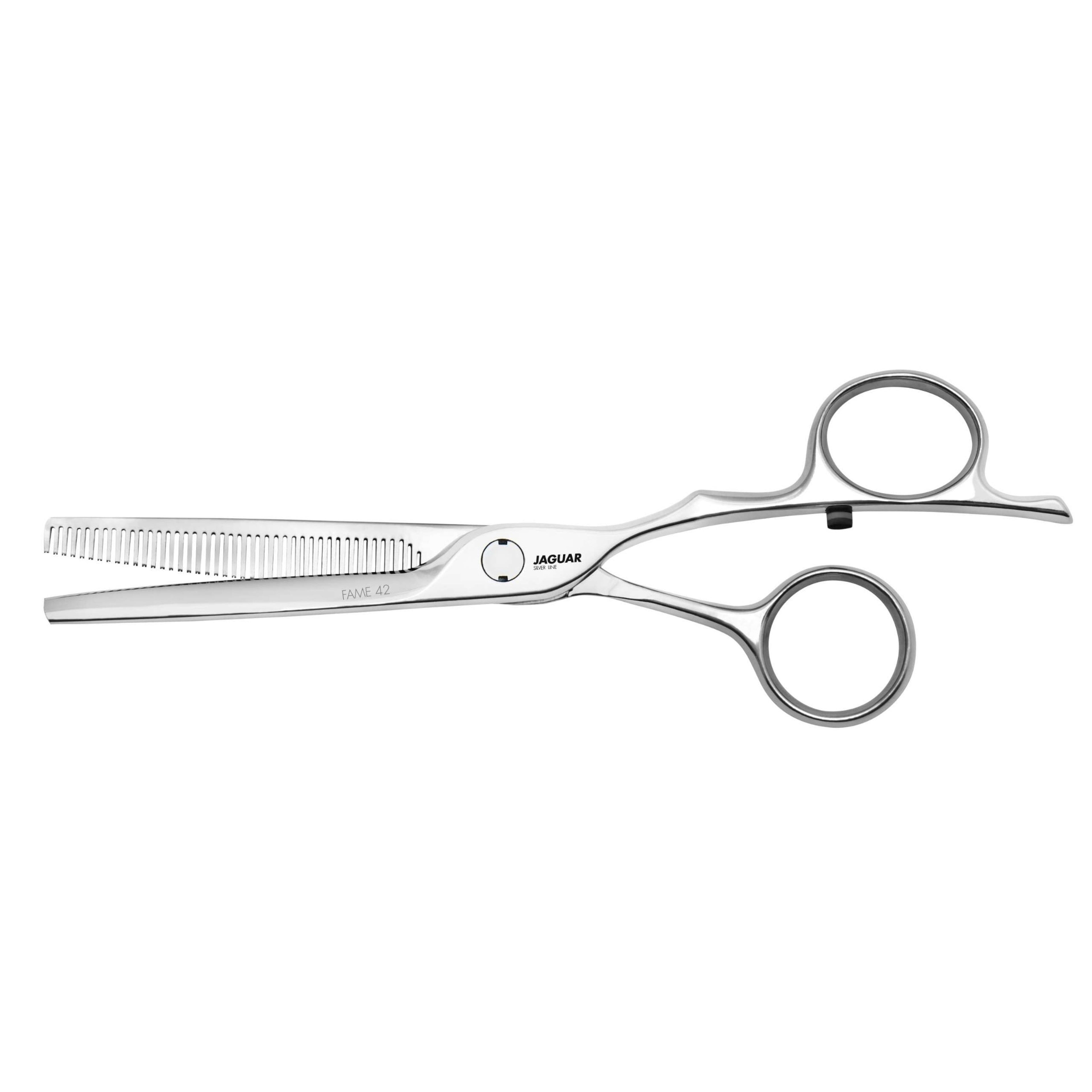 JAGUAR Silver Line FAME 42 Texturing scissors | Order number: 70575